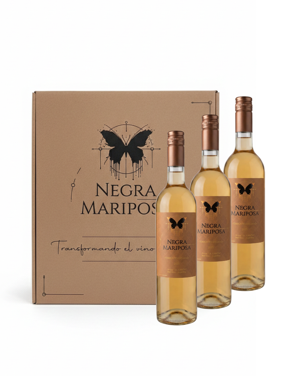 Case Torrontes Riojano Sweet 2025