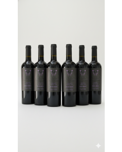 Caja de Bonarda Reserva Edición Limitada 2021