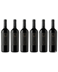 Caja de Malbec Reserva 2021